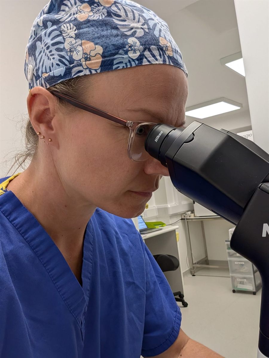 Dr Katie Finch working at a microscope in an IVF laboratory.